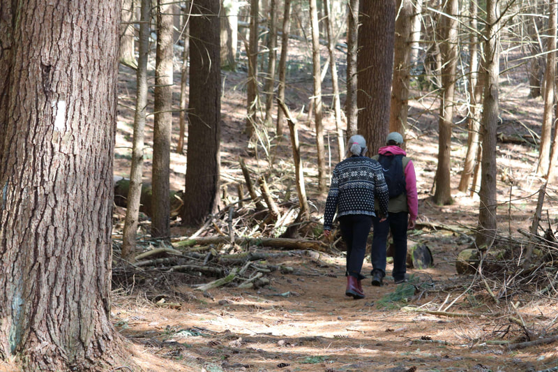 A man and a woman walking down a tree-lined trail.