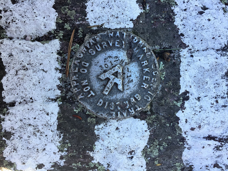 Appalachian Trail survey marker embedded in rock along a trail.