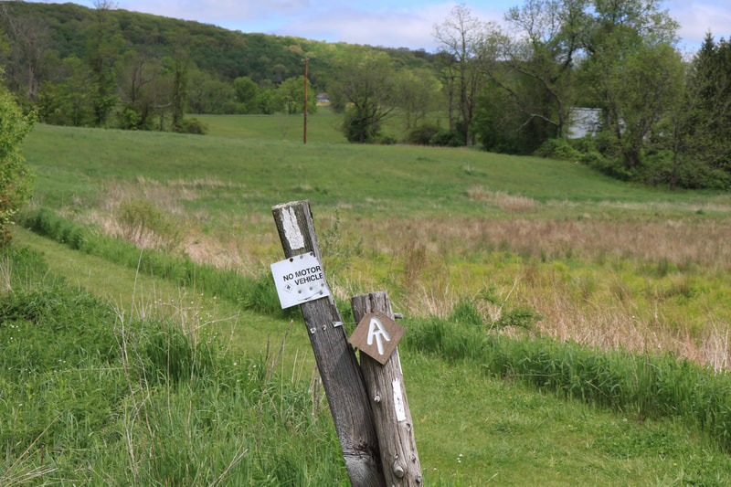 Appalachian Trail marker and No Motor Vehicles sign on wooden signpost with hills and cloudy blue sky in the background.