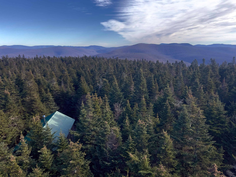 Aerial view of a cabin with green roof, green trees, mountains, and a cloudy sky.
