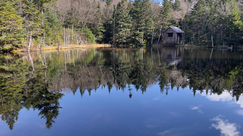 Lake with reflection of trees and cabin the background