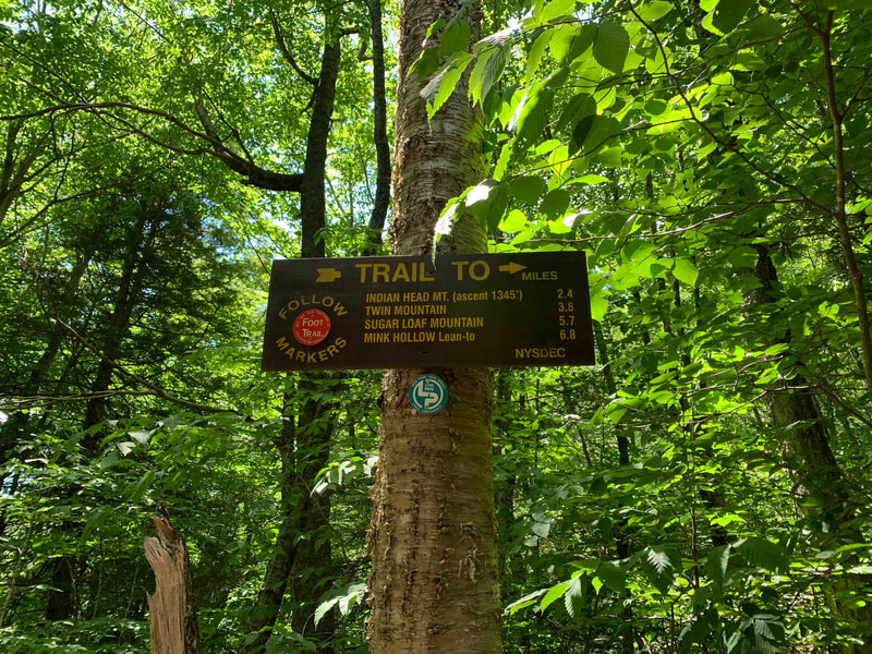 Tree with trail sign and aqua Long Path marker.