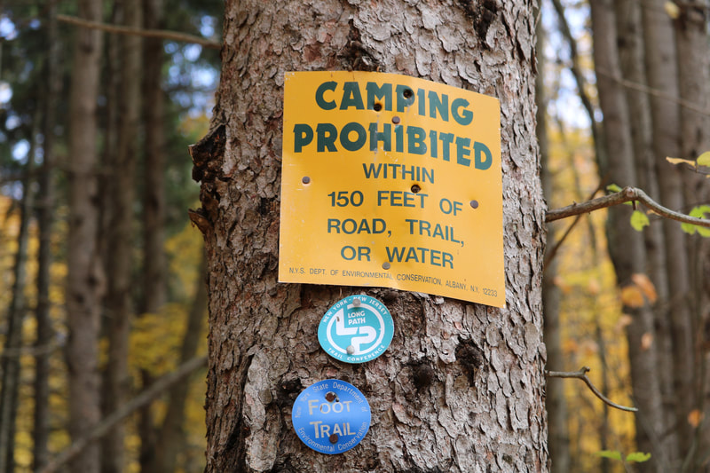 Yellow Camping Prohibited Within 150 Feet of Road, Trail, or Water sign and two blue trail blazes attached to a tree.