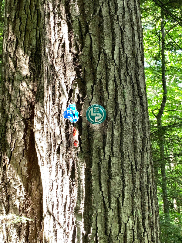 Blue Foot Trail, Green Long Path, and Orange trail markers attached to a tree.